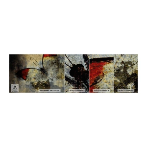 Campione di Fotomurale Premium Canvas - Guarda prima che scompaia - Astrazione, Farfalla, Pezzo - 100x30 cm