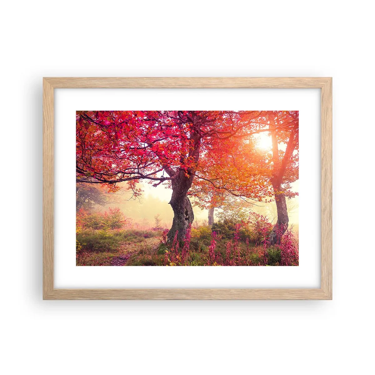 Poster in cornice rovere chiaro - L'esplosione della fioritura - 40x30 cm