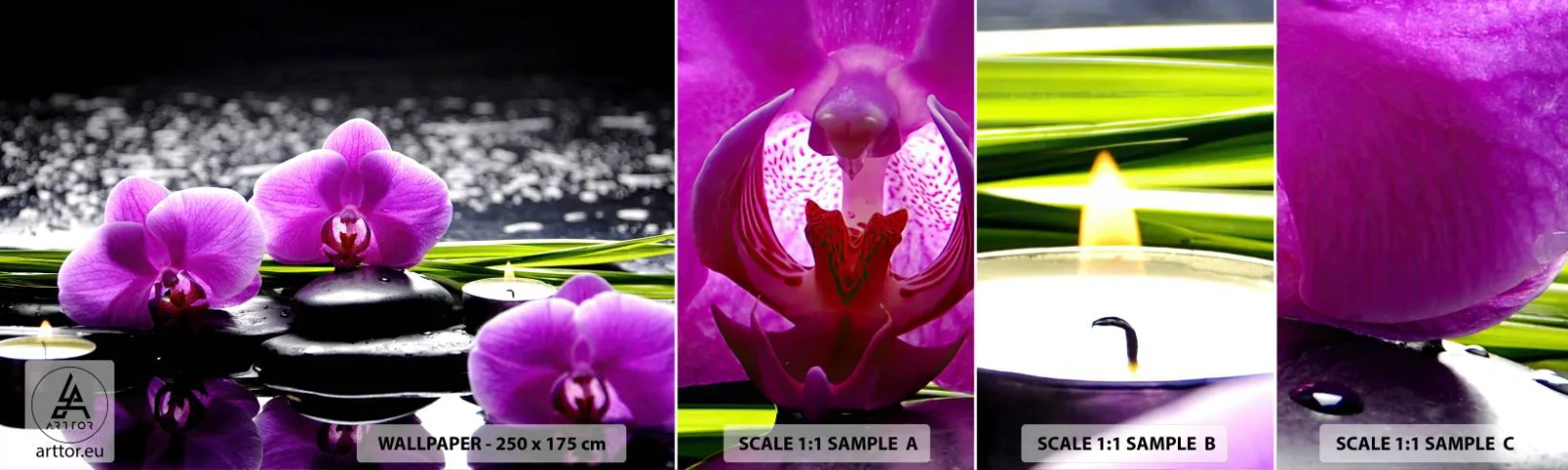 Campione Di Fotomurale Standard Eco - Annegare nel silenzio e nella pace - Fiori, Orchidea, Orchidea - 100x30 cm