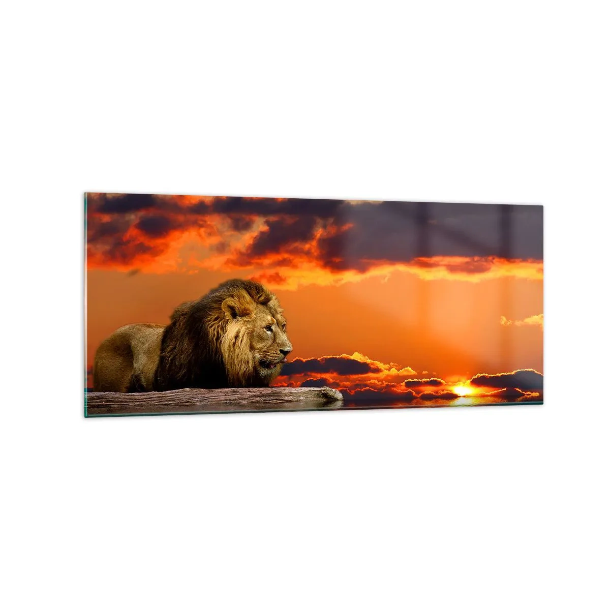 Quadro su vetro - Un leone riposa in riva all'acqua al tramonto, con un cielo spettacolare. - 120x50cm - Il re della natura - Decorazione murale moderna per soggiorno e camera da letto ARTTOR