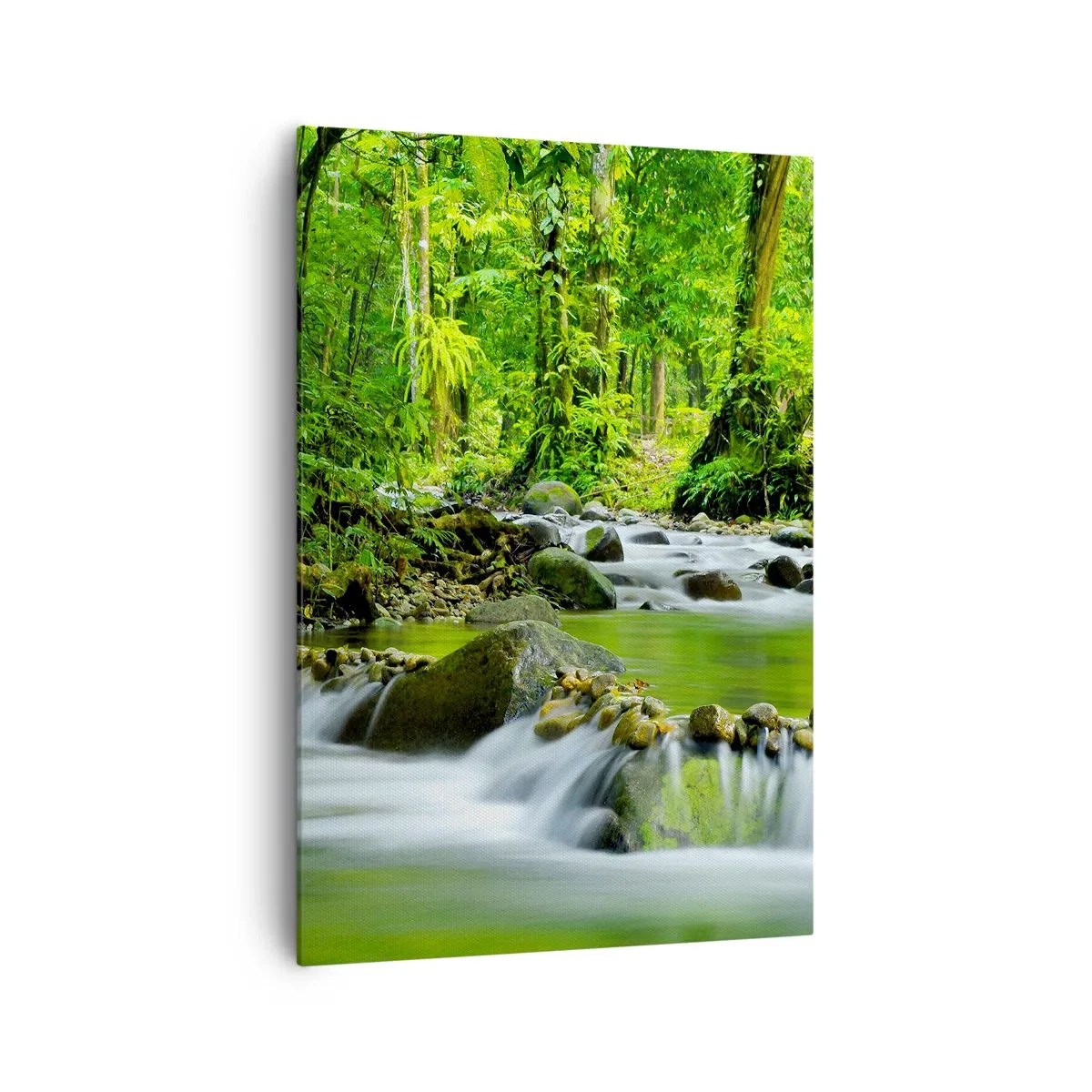 Quadro su tela - Stampe su Tela - Un ruscello in una lussureggiante foresta tropicale - 70x100cm - Fluttuando in un mare di verde - Decorazione murale moderna per soggiorno e camera da letto ARTTOR