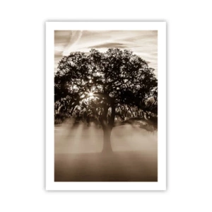 Poster - Albero nella nebbia con raggi di luce - 50x70cm - L'albero delle sole buone notizie - Decorazione murale moderna per soggiorno e camera da letto ARTTOR