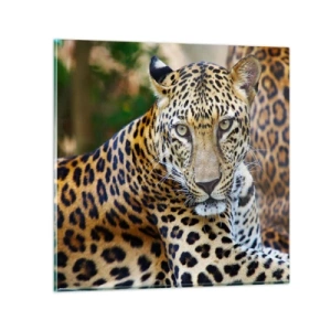 Quadro su vetro - Selvaggio e tranquillo - 50x50 cm