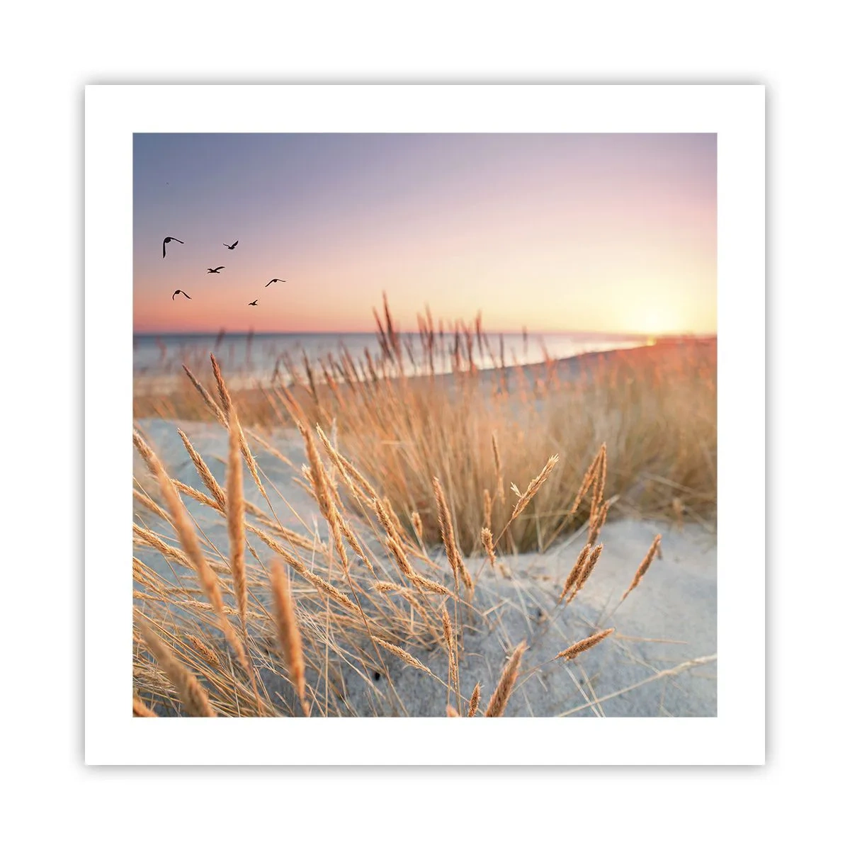 Poster - Ninna nanna baltica - 50x50 cm