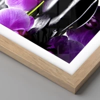 Rovere chiaro