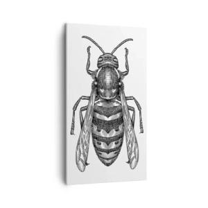 Quadro su tela - Stampe su Tela - Dal pianeta degli insetti - 45x80 cm