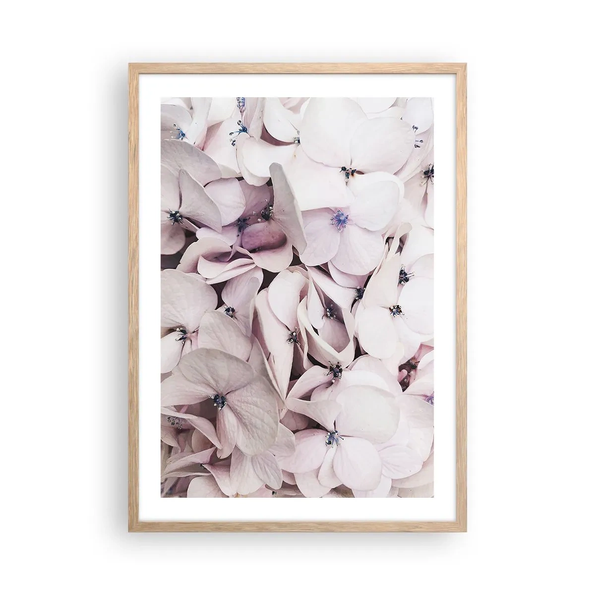 Poster in cornice rovere chiaro - Un'alluvione di fiori - 50x70 cm