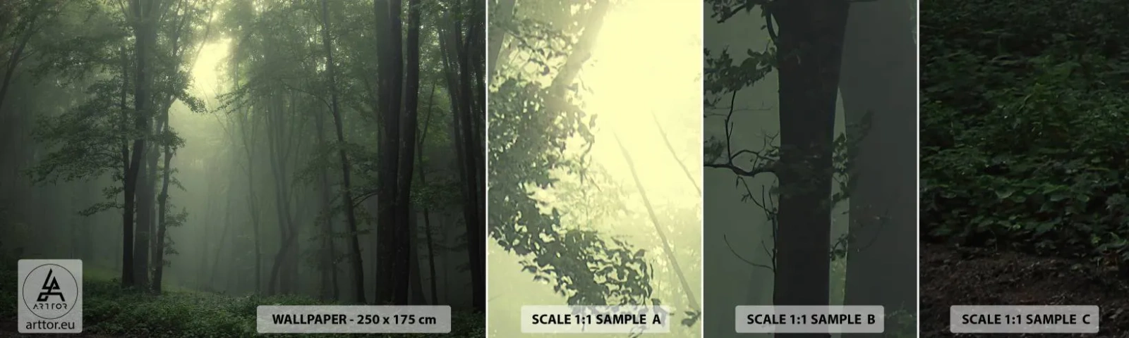 Campione Di Fotomurale Standard Eco - Prima che si svegli - Paesaggio, foresta, Natura - 100x30 cm