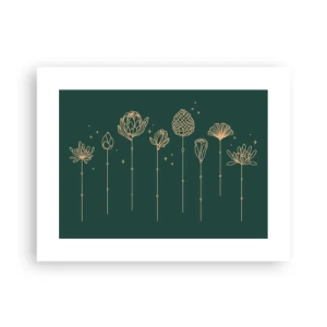 Poster - La famiglia delle erbe - 40x30 cm