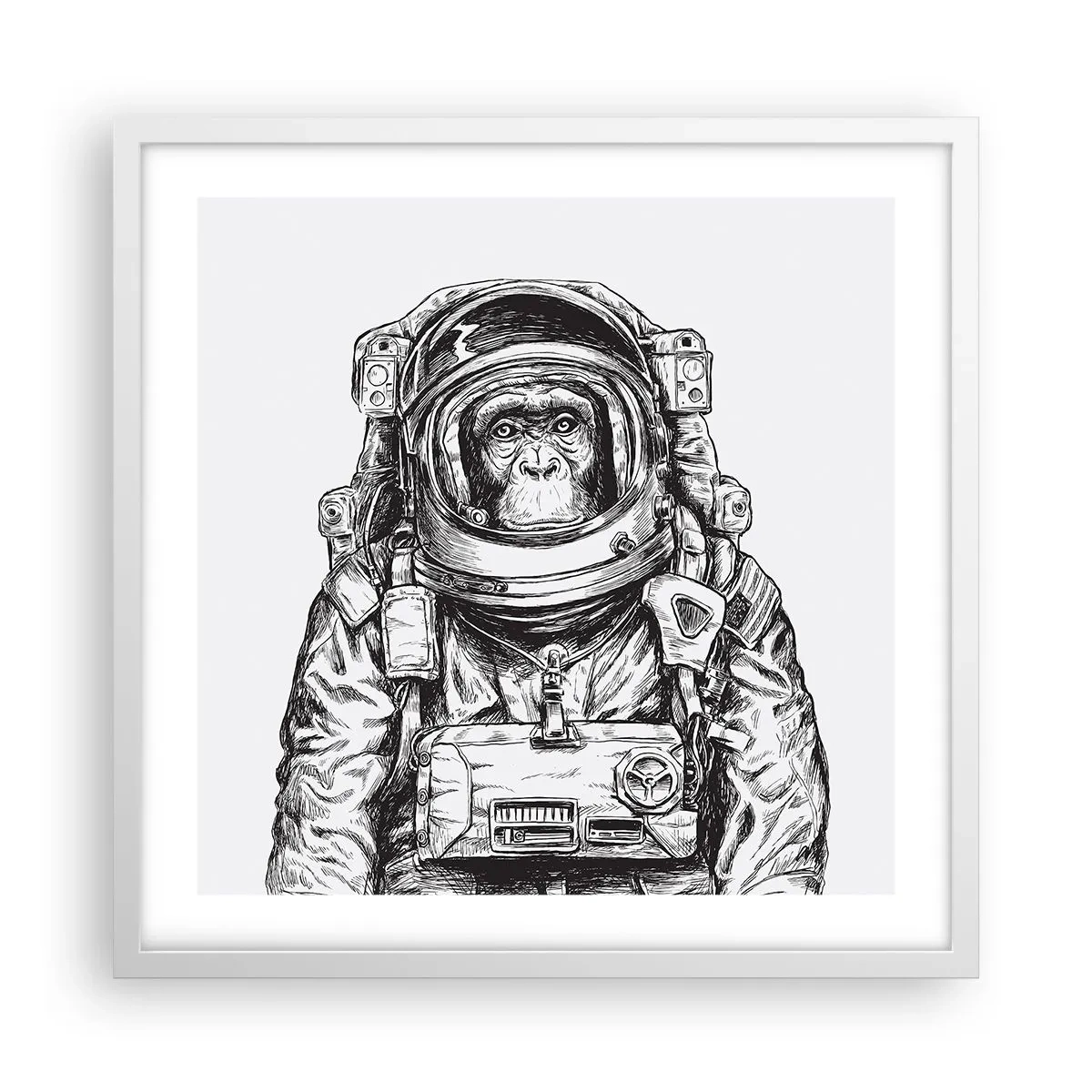 Poster in cornice bianca - Evoluzione alternativa - 50x50 cm