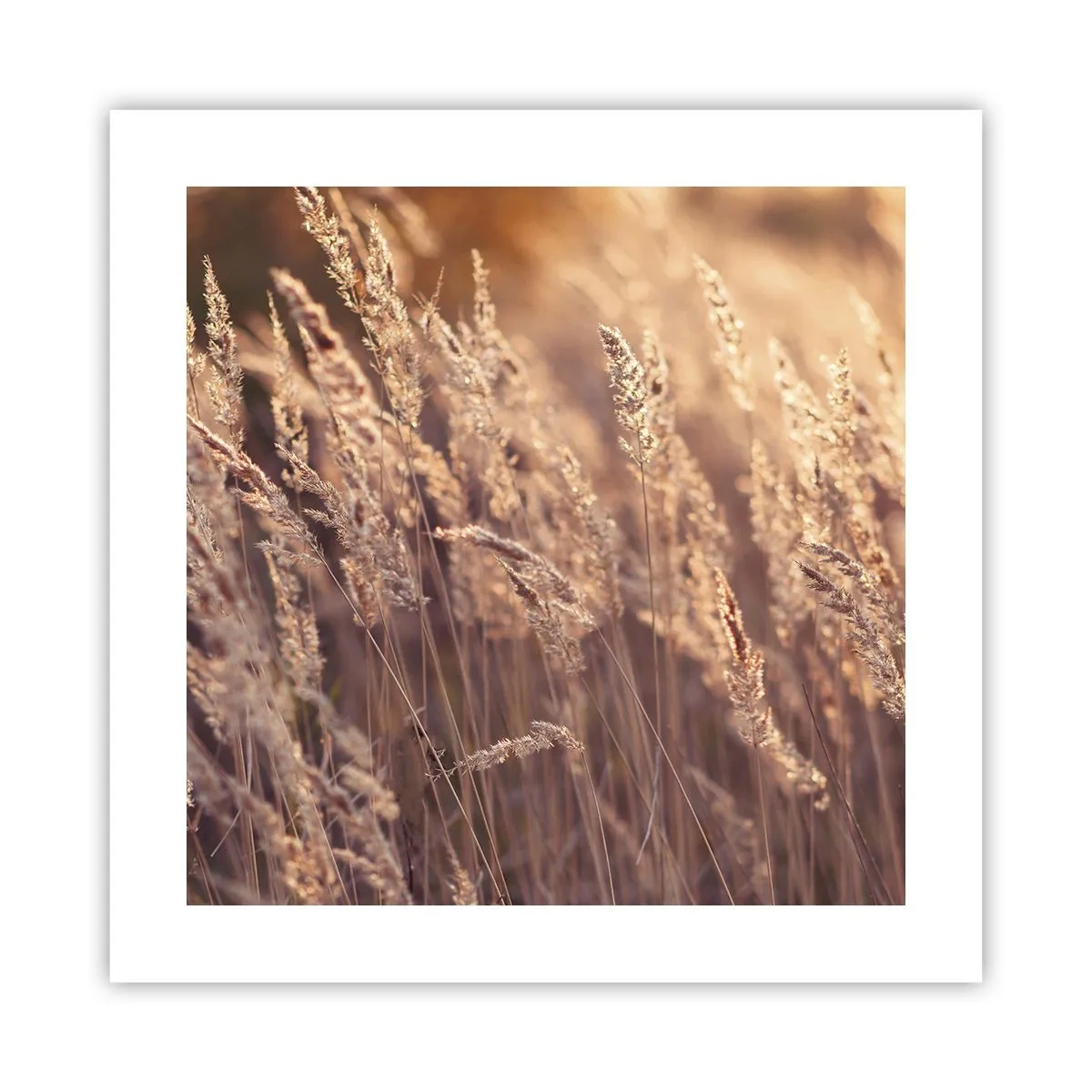 Poster - Pronti a salutare l'autunno - 40x40 cm