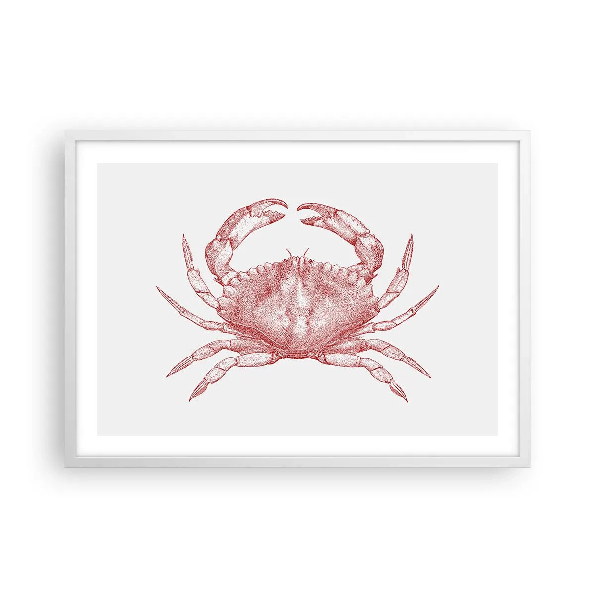 Poster in cornice bianca - Il granchio dei granchi - 70x50 cm