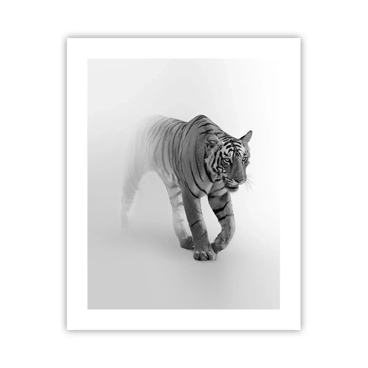 Poster - Incantato nella nebbia - 40x50 cm