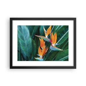 Poster in cornice nera - È un fiore o un uccello? - 40x30 cm