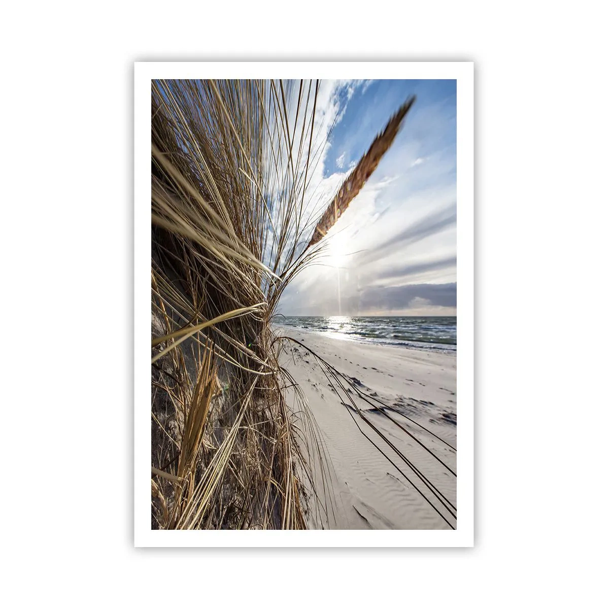 Poster - L'incontro degli elementi - 70x100 cm