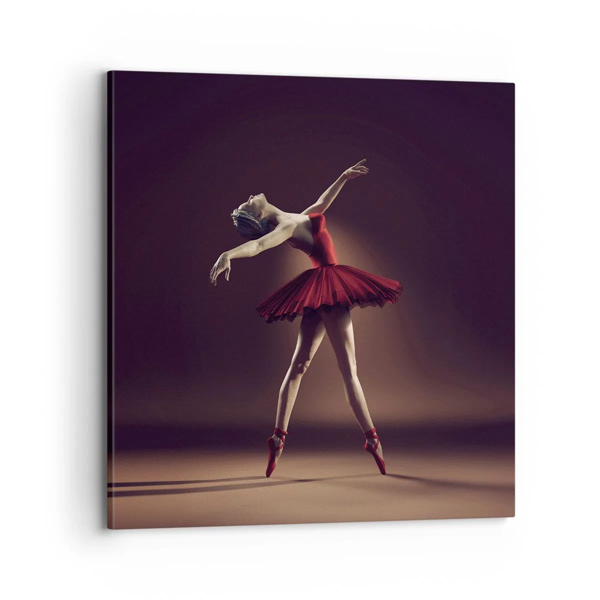 Quadro su tela - Stampe su Tela - Prima ballerina - 70x70 cm