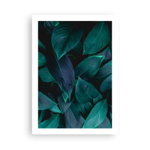 Poster - Foglie verde scuro con retroilluminazione tenue - 50x70cm - Il verde puro - Decorazione murale moderna per soggiorno e camera da letto ARTTOR