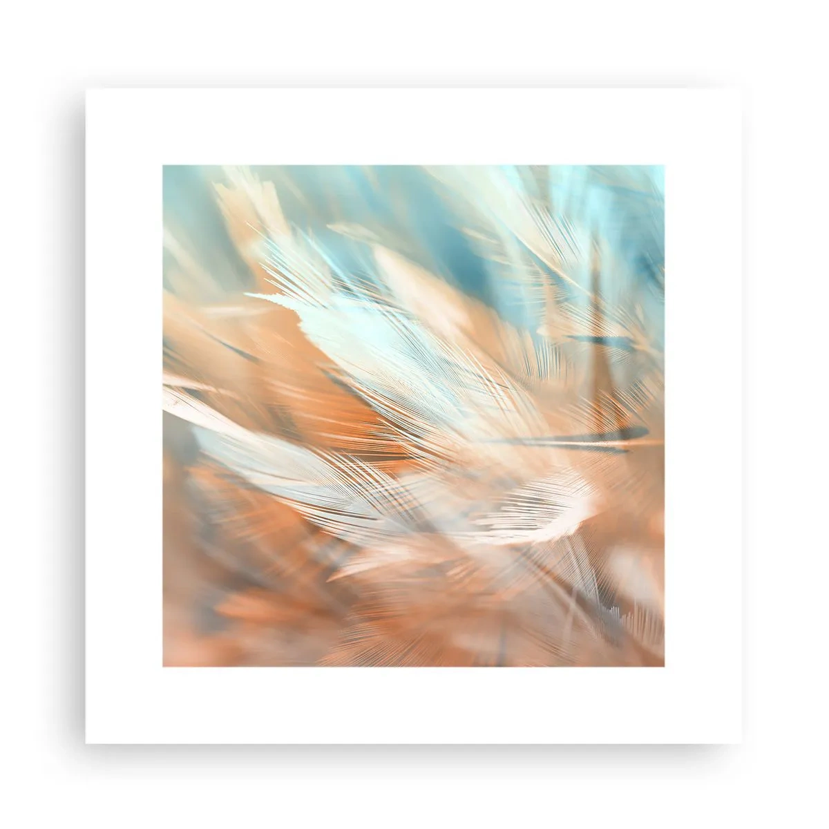 Poster - Nel paese della mitezza - 30x30 cm