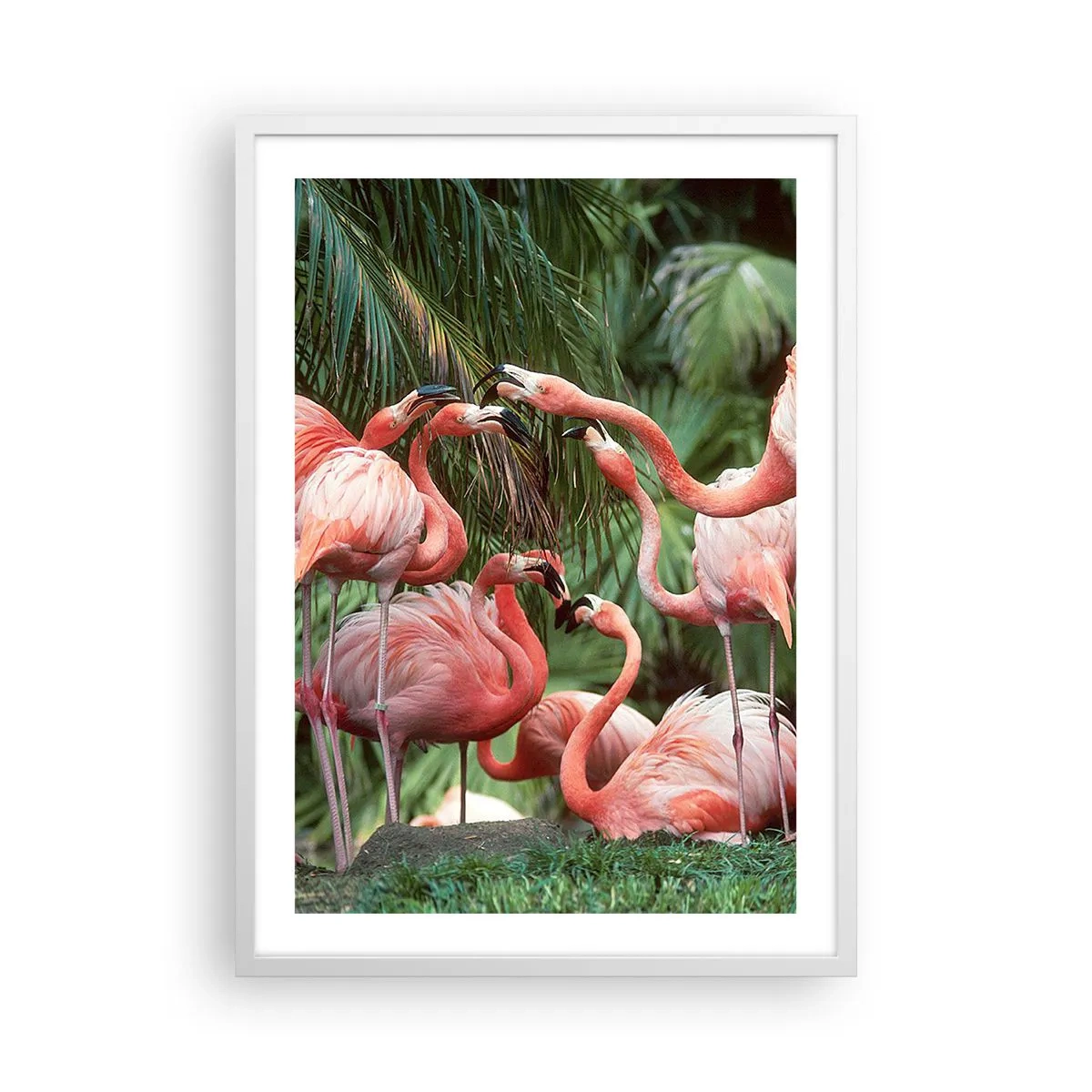 Poster in cornice bianca - Pettegolezzi pomeridiani - 50x70 cm