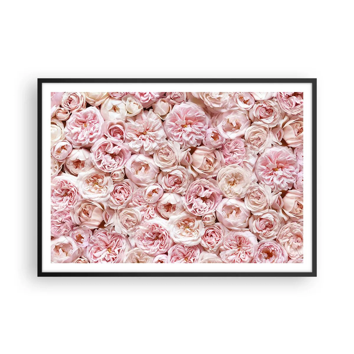 Poster in cornice nera - Delicate rose in tonalità di rosa su tutta la superficie - 100x70cm - Coperto di rose - Decorazione murale moderna per soggiorno e camera da letto ARTTOR