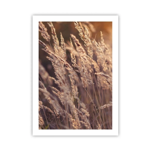 Poster - Spighe dorate d'erba illuminate dai raggi del sole - 50x70cm - Pronti a salutare l'autunno - Decorazione murale moderna per soggiorno e camera da letto ARTTOR