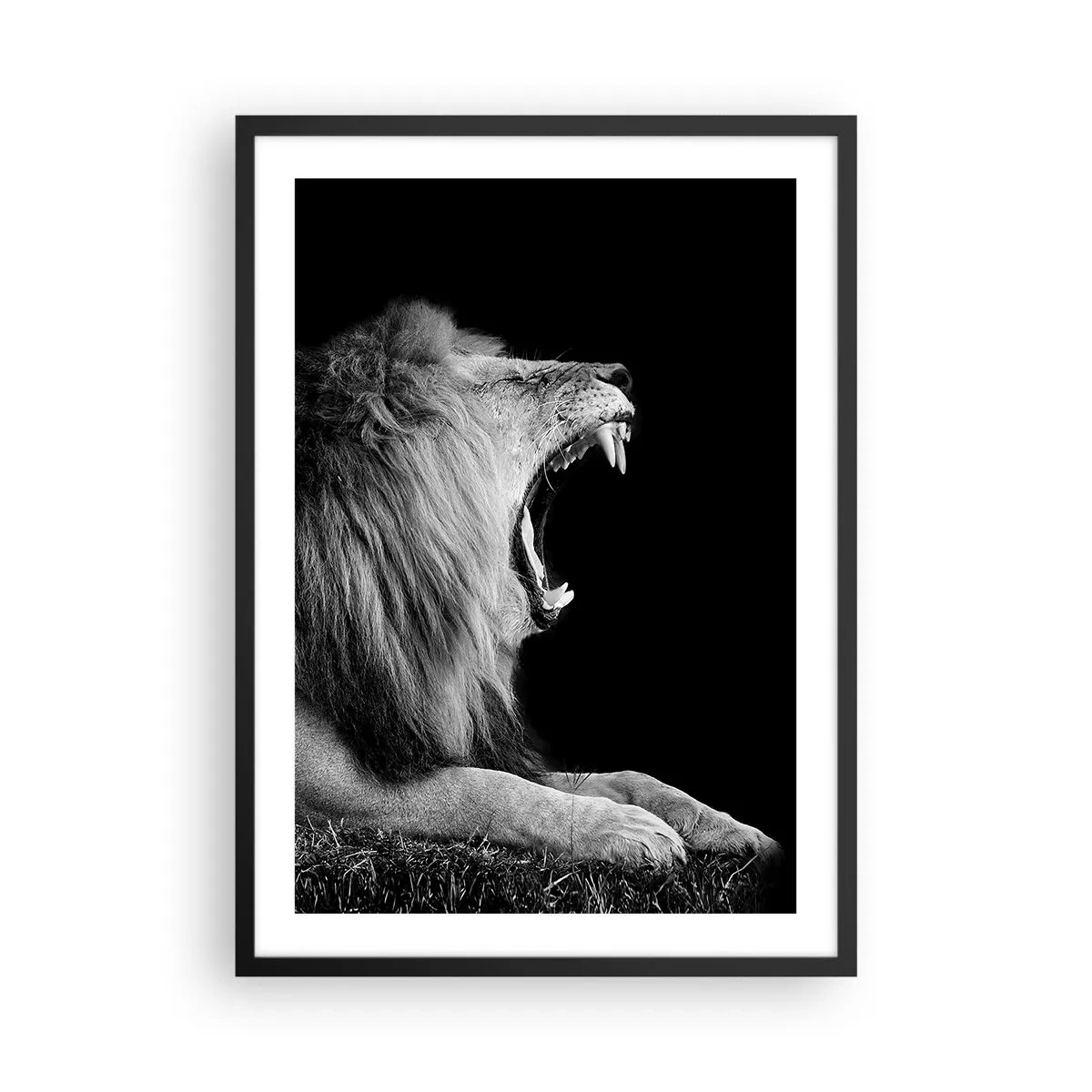 Poster in cornice nera - Un leone ruggente in monocromo - 50x70cm - Senza alcun dubbio - Decorazione murale moderna per soggiorno e camera da letto ARTTOR