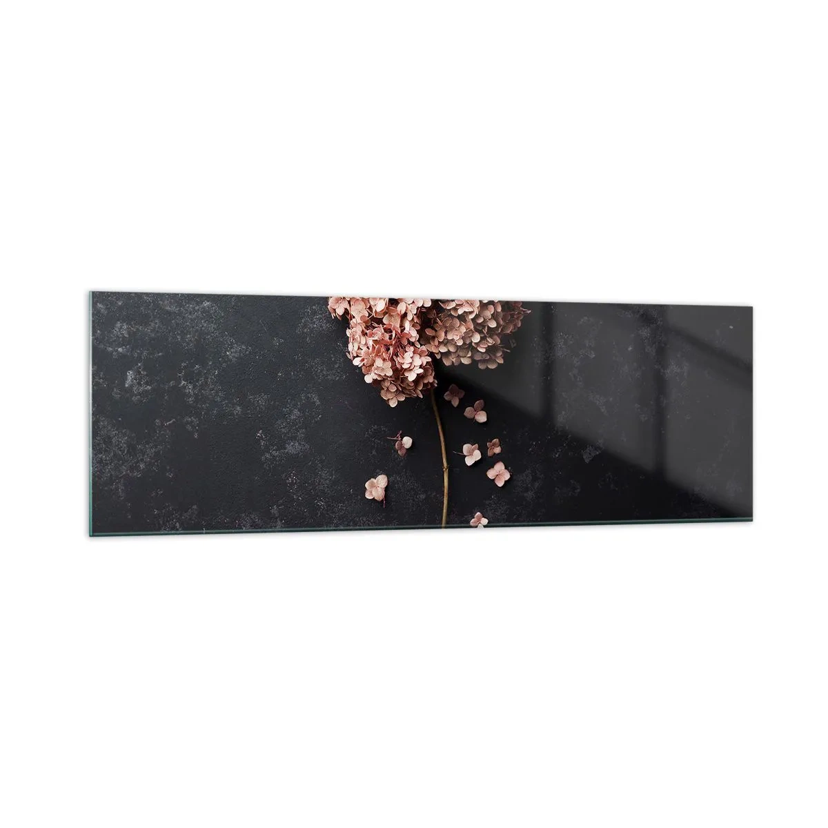 Quadro su vetro - Un delicato fiore di ortensia su uno sfondo scuro - 160x50cm - Un vero segno romantico - Decorazione murale moderna per soggiorno e camera da letto ARTTOR