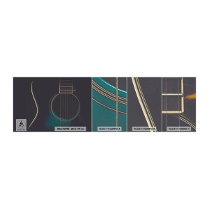 Campione di Fotomurale Premium Canvas - L'attimo prima del suono - Chitarra, Musica, stringhe - 100x30 cm