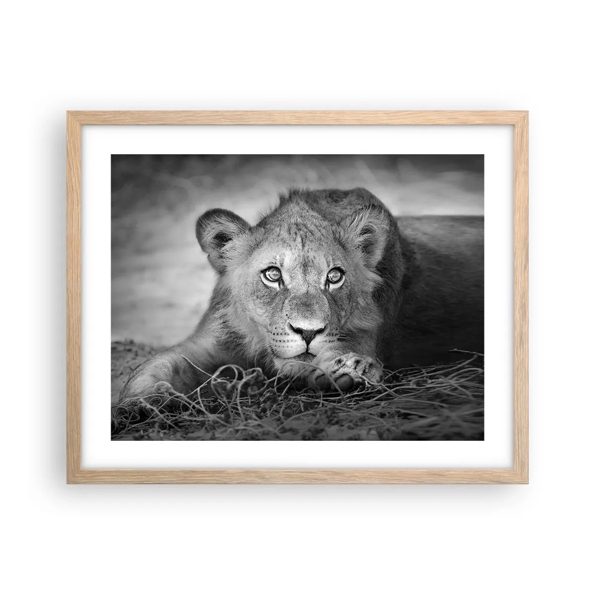 Poster in cornice rovere chiaro - Cucciolo reale - 50x40 cm