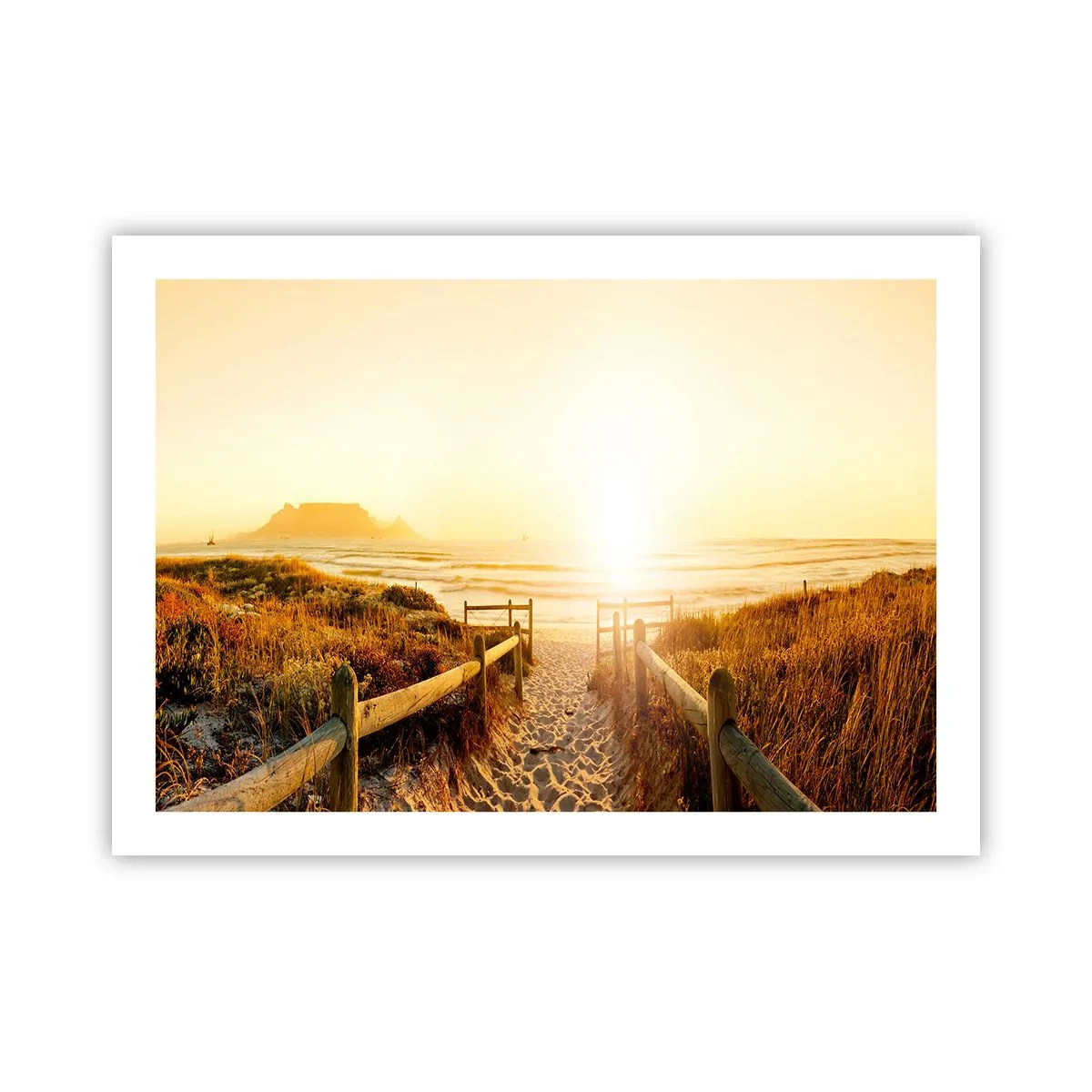 Poster - Attraverso la duna, verso il sole - 70x50 cm
