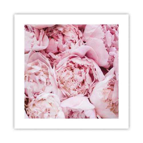 Poster - Morbide e profumate - 40x40 cm