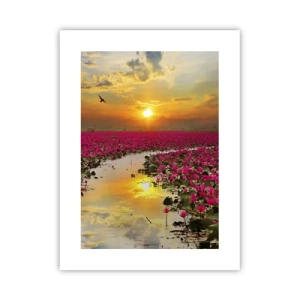 Poster - La vita segreta del lago - 30x40 cm