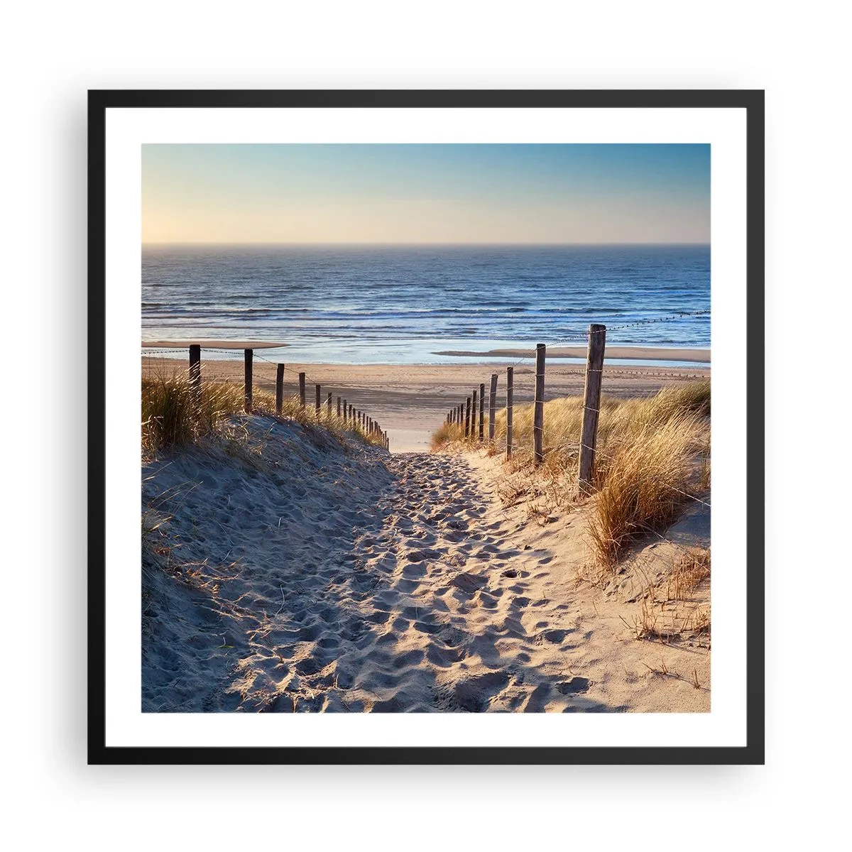 Poster in cornice nera - Rumore del mare, uccelli che cantano, spiaggia selvatica tra i cespugli... - 60x60 cm