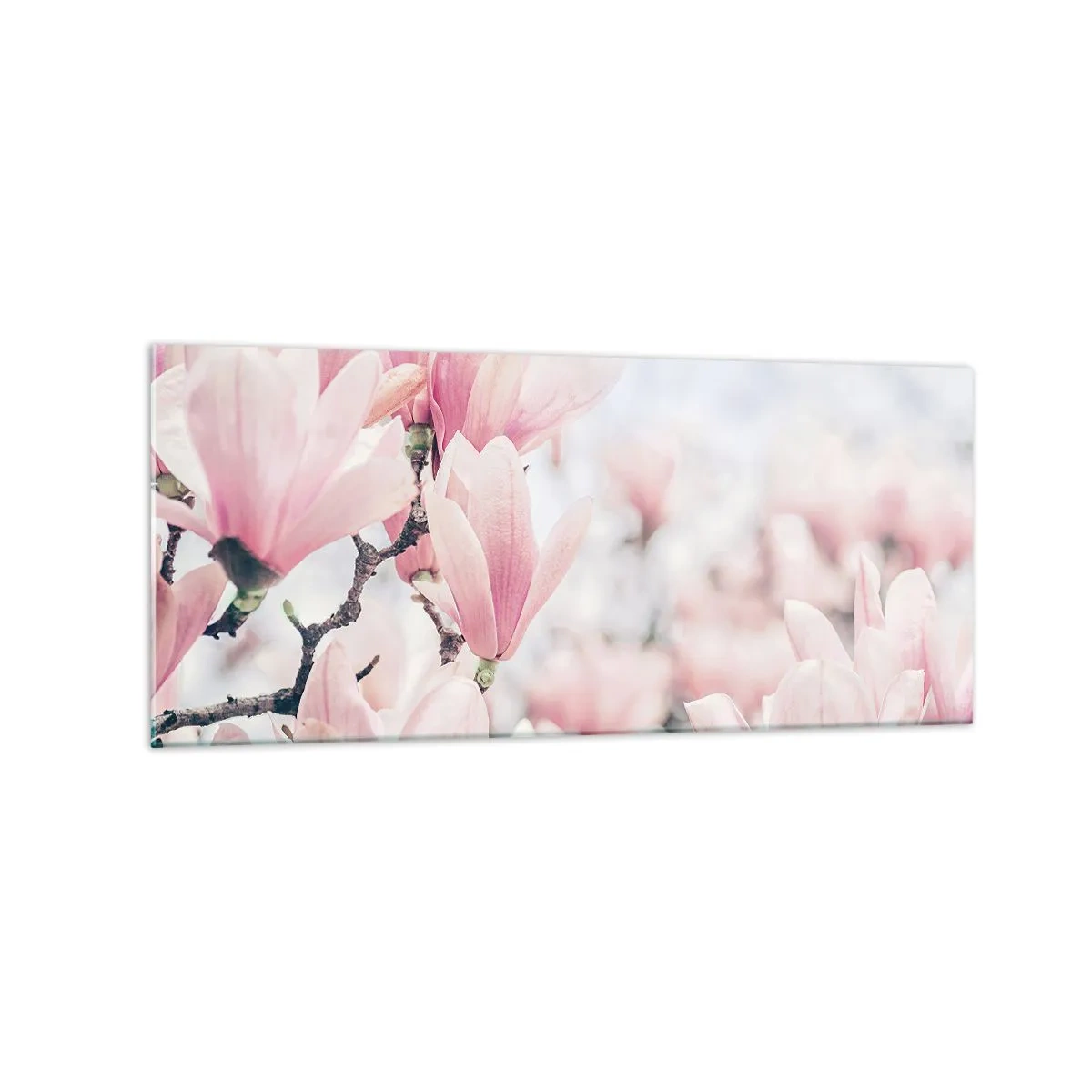 Quadro su vetro - Delicati fiori di magnolia in delicate tonalità rosa - 120x50cm - Ideale di delicatezza - Decorazione murale moderna per soggiorno e camera da letto ARTTOR