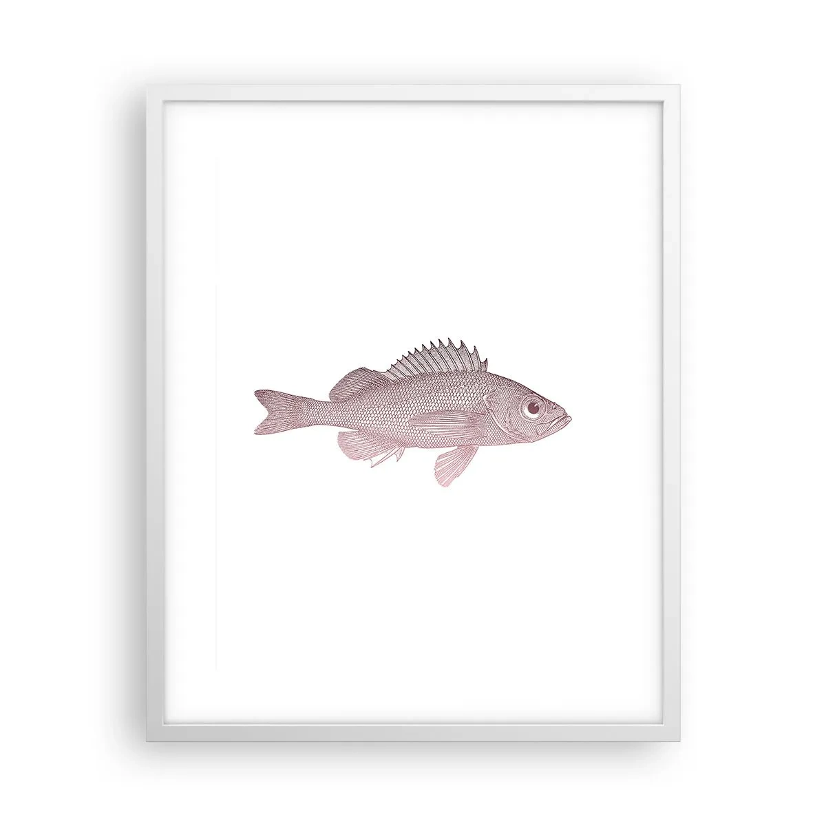 Poster in cornice bianca - Il pesce dagli occhi enormi - 40x50 cm