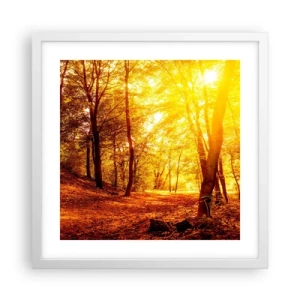 Poster in cornice bianca - Verso la radura dorata - 40x40 cm