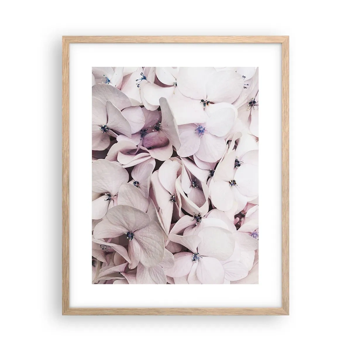 Poster in cornice rovere chiaro - Un'alluvione di fiori - 40x50 cm