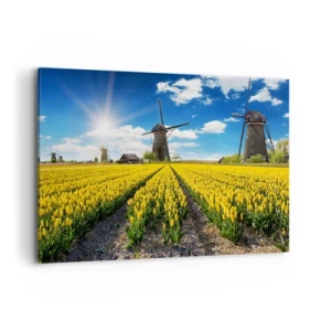 Quadro su tela - Stampe su Tela - Un campo di tulipani gialli con mulini a vento all'orizzonte - 100x70cm - Più olandesi di così non si può - Decorazione murale moderna per soggiorno e camera da letto ARTTOR