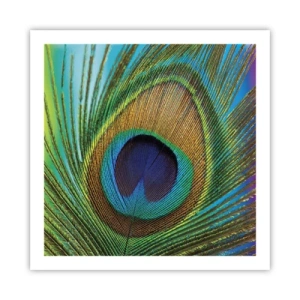 Poster - Occhio nell'occhio - 60x60 cm