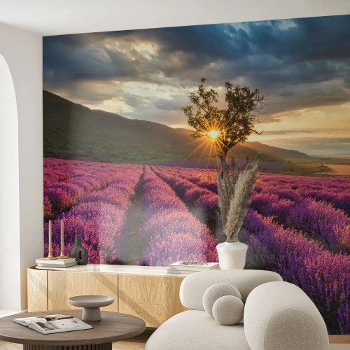 Fotomurale su misura Adesiva Deluxe Sticker - Aroma di colore lilla - Paesaggio, Lavanda, Provenza