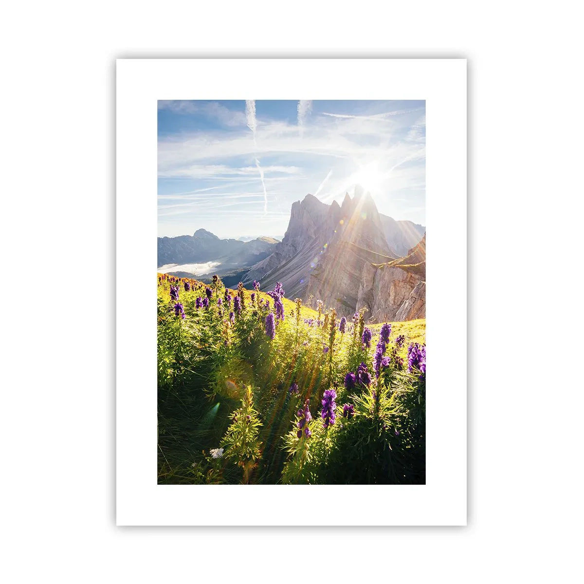 Poster - La vita segreta delle erbe - 30x40 cm