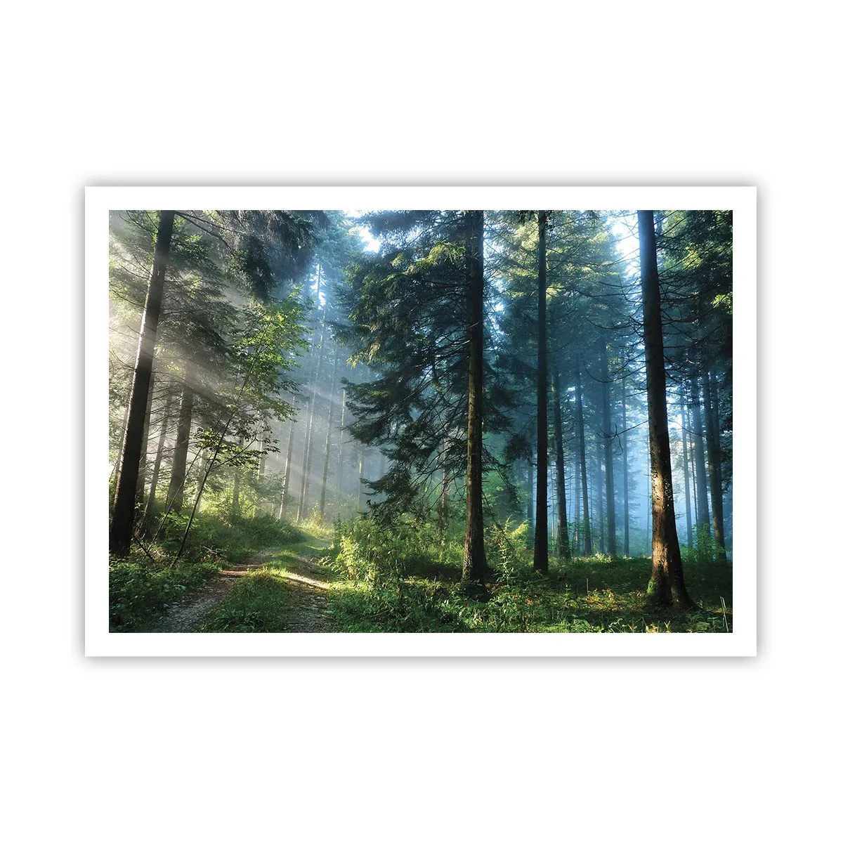 Poster - Un sentiero nel bosco illuminato dai raggi del sole mattutino - 100x70cm - Raggiante all'alba - Decorazione murale moderna per soggiorno e camera da letto ARTTOR