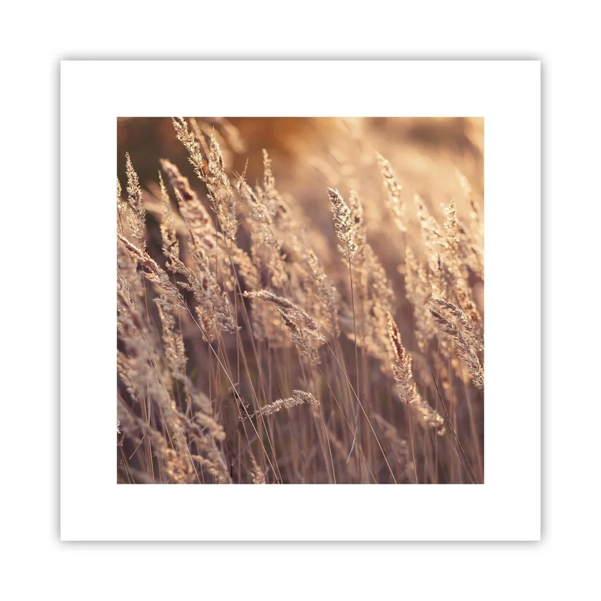 Poster - Pronti a salutare l'autunno - 30x30 cm