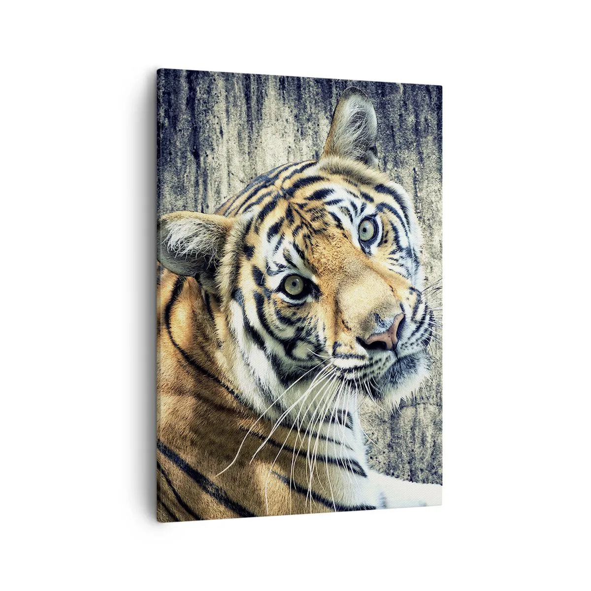 Quadro su tela - Stampe su Tela - Una tigre sdraiata contro un muro dalla consistenza ruvida - 50x70cm - Ritratto nei flussi di luce - Decorazione murale moderna per soggiorno e camera da letto ARTTOR