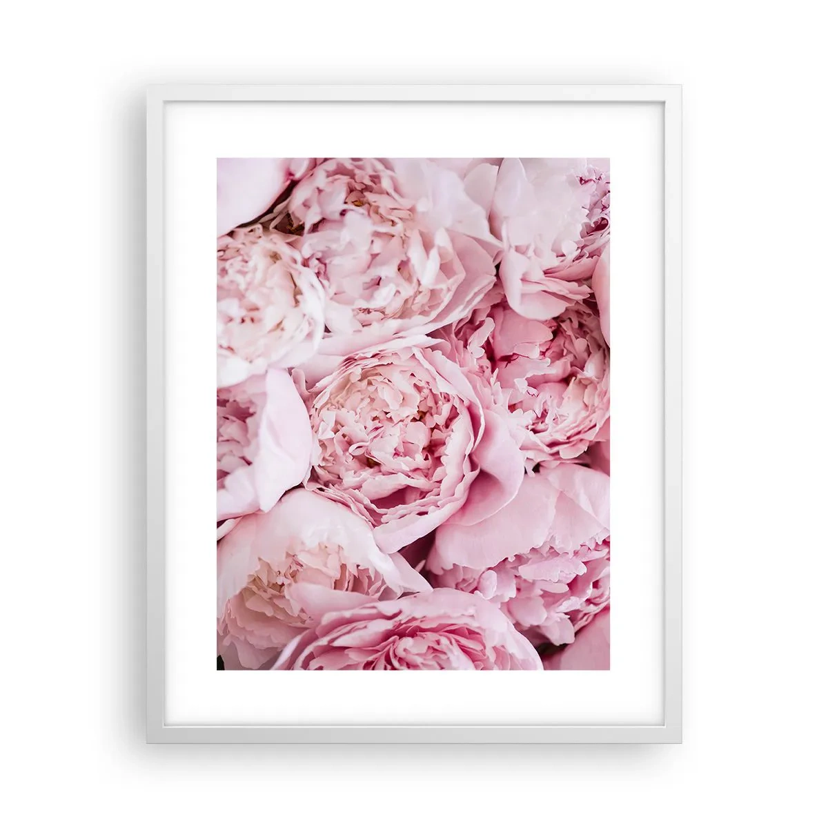 Poster in cornice bianca - Morbide e profumate - 40x50 cm