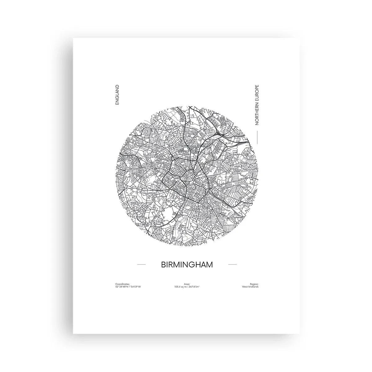 Poster - Anatomia di Birmingham - 30x40 cm