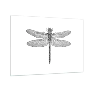 Quadro su vetro - Illustrazione dettagliata di una libellula in stile incisione su sfondo bianco - 100x70cm - La precisione della natura - Decorazione murale moderna per soggiorno e camera da letto ARTTOR