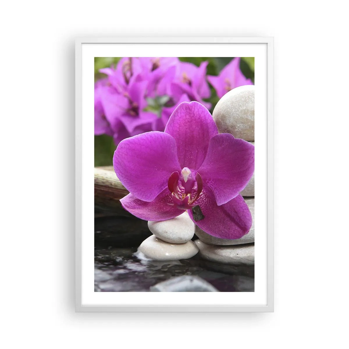 Poster in cornice bianca - E già ti riposi - 50x70 cm