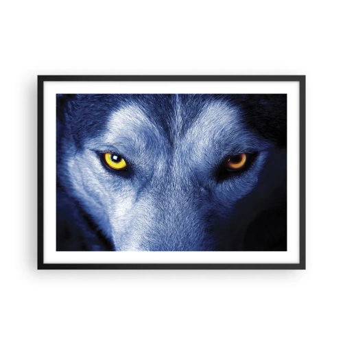 Poster in cornice nera - Primo piano dello sguardo intenso di un lupo su uno sfondo scuro - 70x50cm - Sguardo ipnotico - Decorazione murale moderna per soggiorno e camera da letto ARTTOR