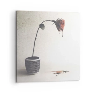 Quadro su tela - Stampe su Tela - Rosa dolorosa - 60x60 cm